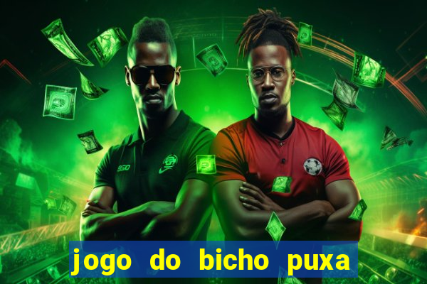 jogo do bicho puxa de dona maria